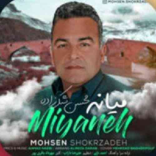 محسن شکرزاده میانه